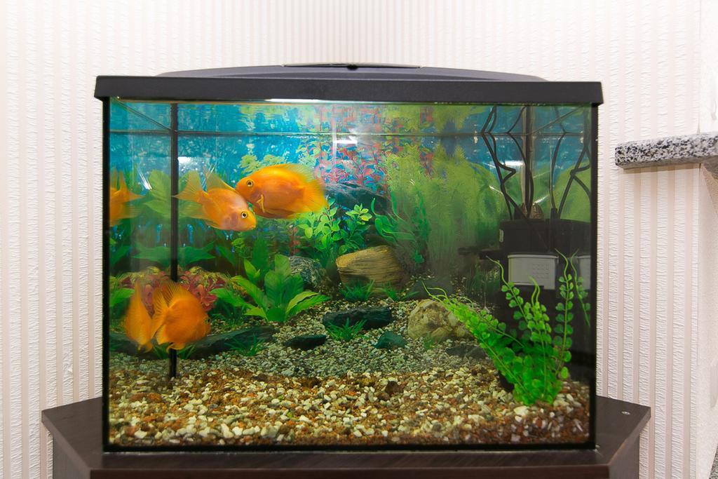 Vip Apartment On Ilinska Sumi Dış mekan fotoğraf